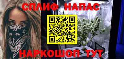 гидра Заводоуковск