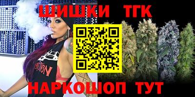 гидра Заводоуковск