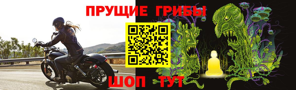Дербент  Псилоцибиновые грибы Psilocybine cubensis  Вход с VPN 